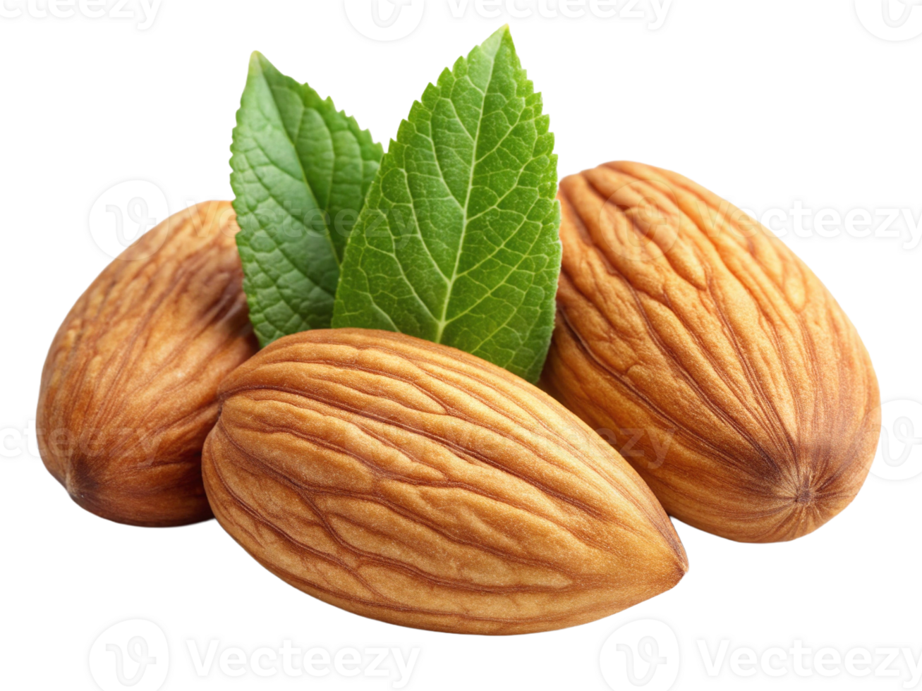 A close-up of three almonds with green leaves, showcasing their natural texture and earthy colors. png