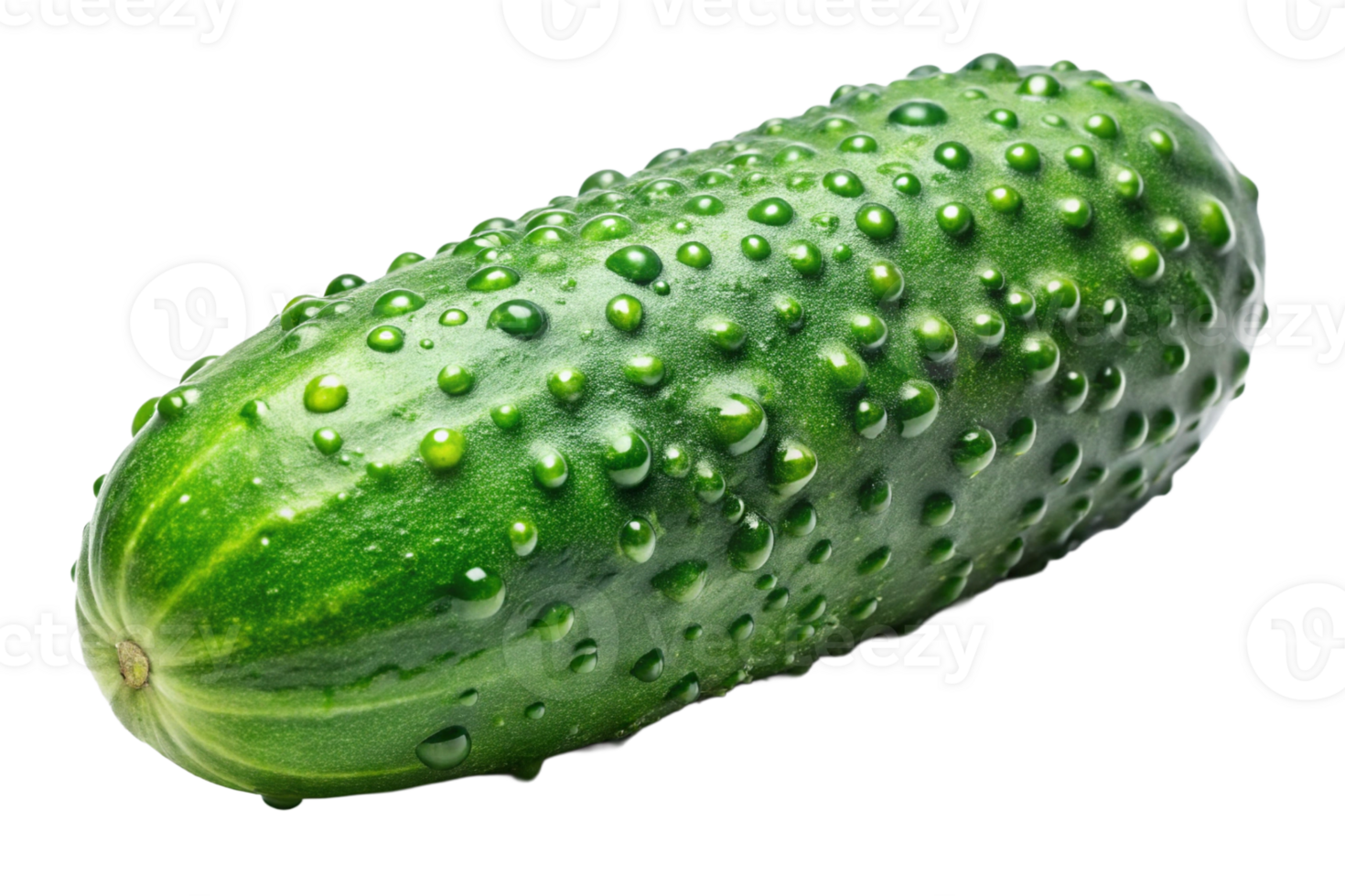A fresh, green cucumber glistening with droplets of water, showcasing its textured skin and vibrant color. png