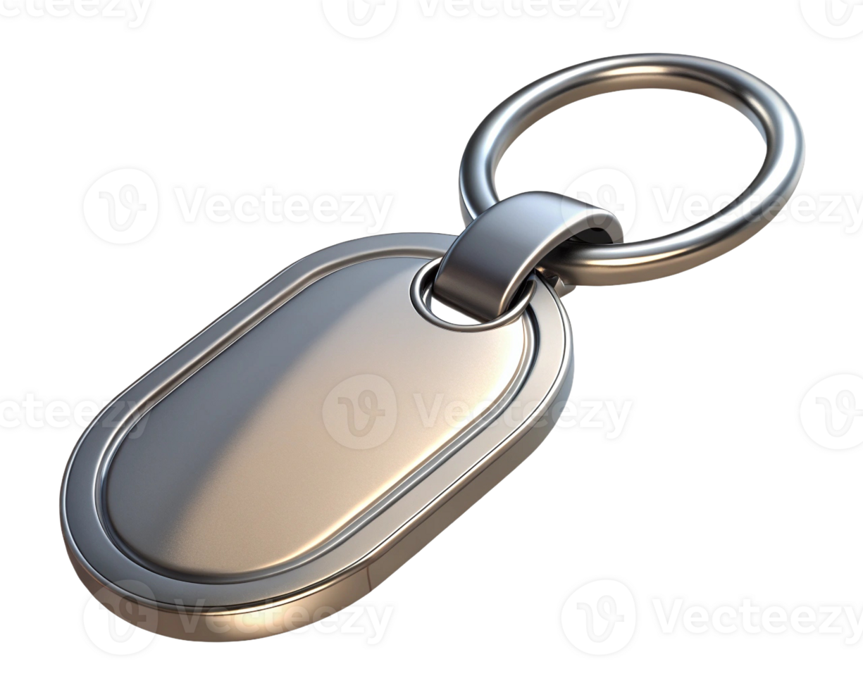 A sleek, metallic keychain with a smooth, oval design, perfect for personalizing your keys or bags. png