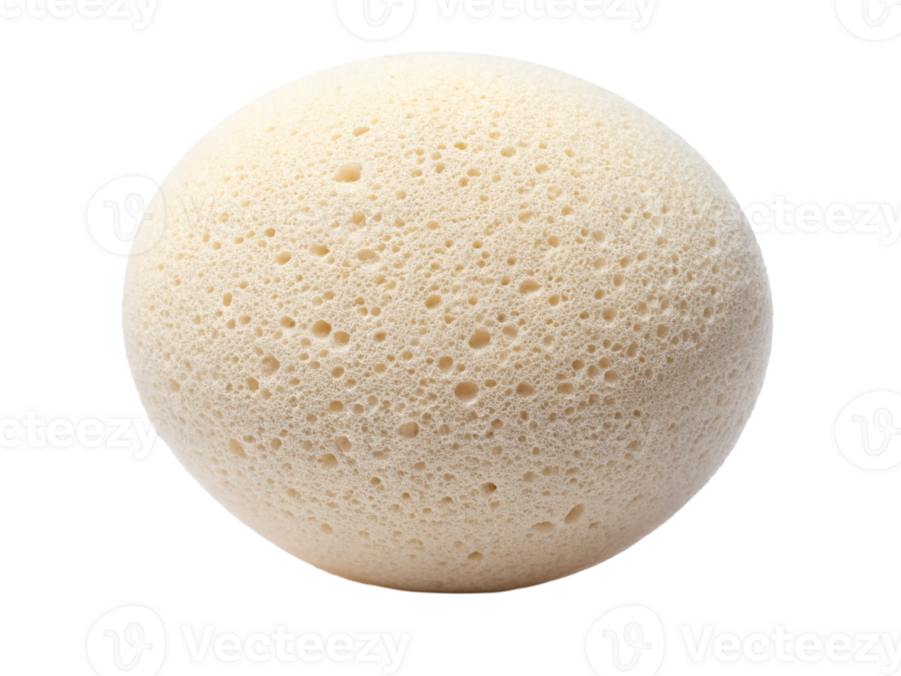 A close-up of a round, porous natural sea sponge showcasing its intricate texture and pale color. png
