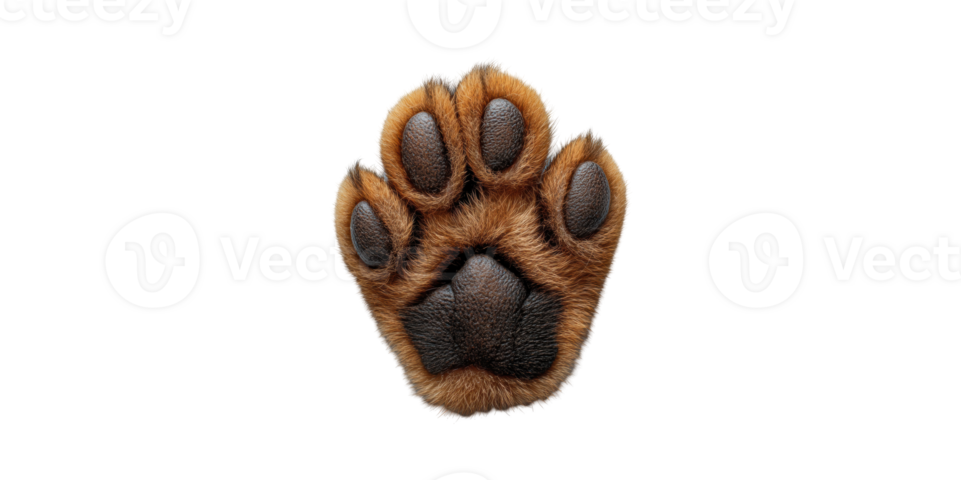 Dog Paw Print. Symbol Of Pet Care And Animal Companionship Isolated On Transparent Background png