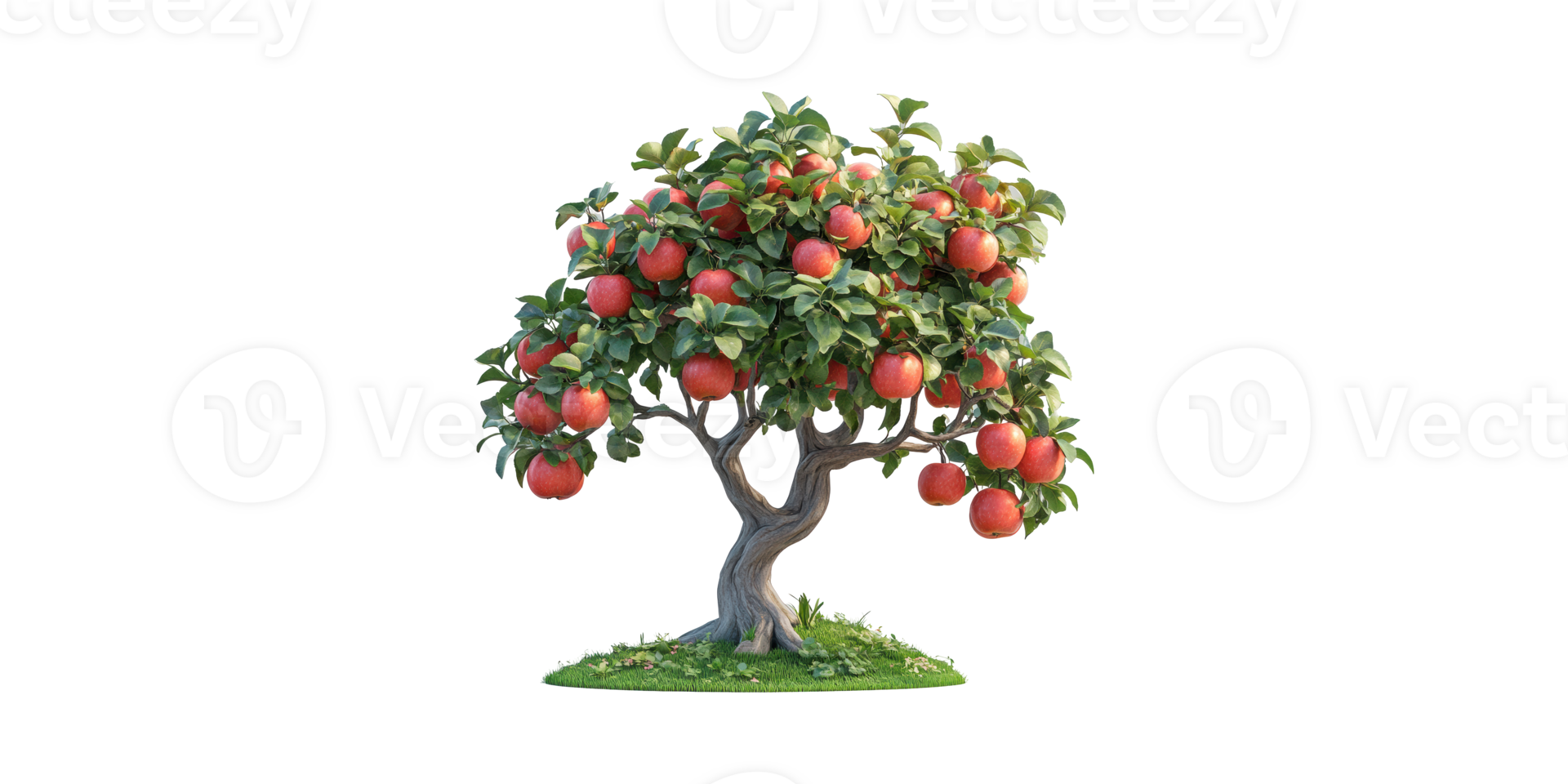 Apple Tree Laden With Red Apples Grass. Symbol Of Abundance And Natural Growth Isolated On Transparent Background png