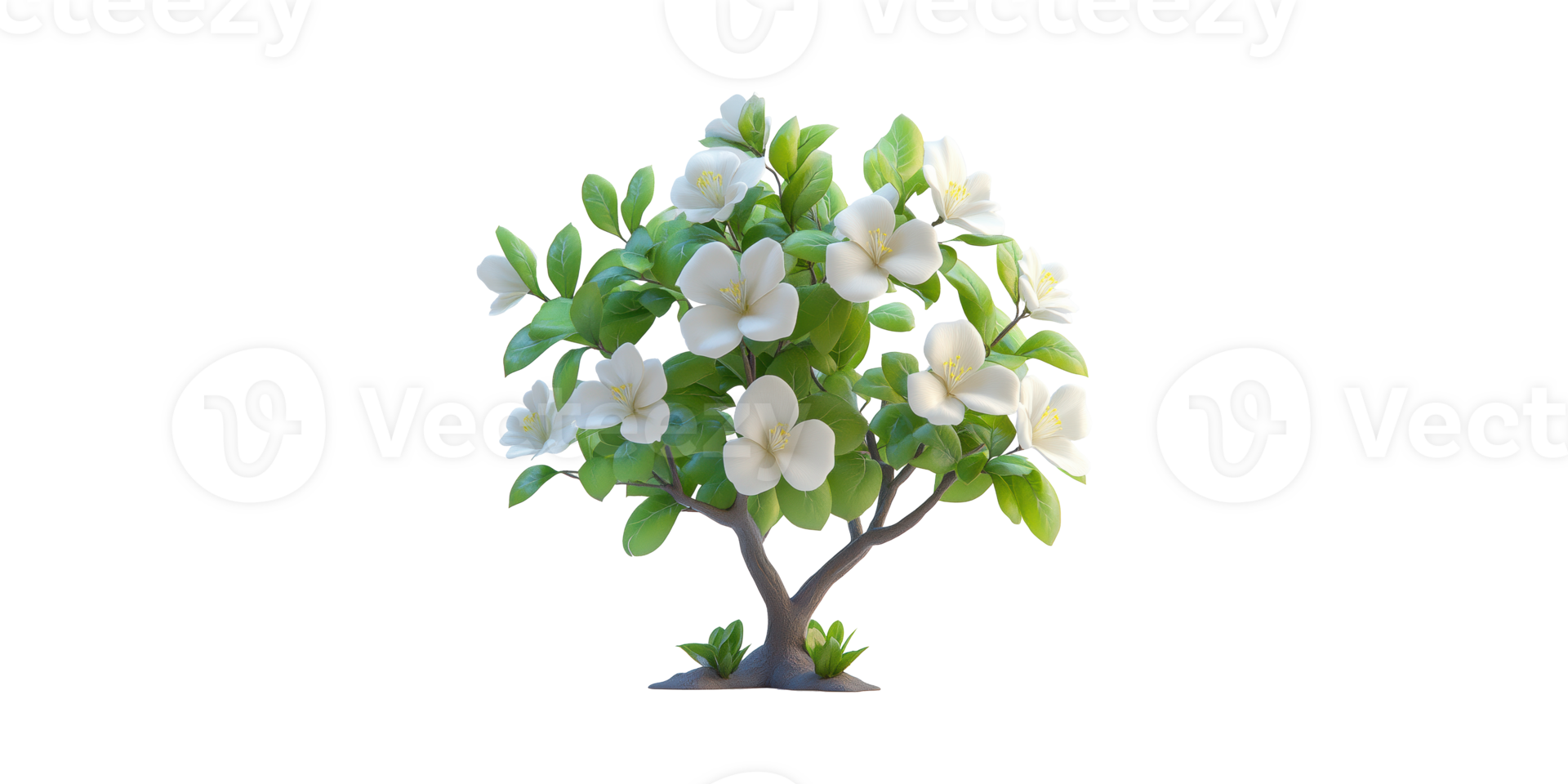 Magnolia Tree With Lush Green Leaves. Symbol Of Purity And Beauty In Nature Isolated On Transparent Background png