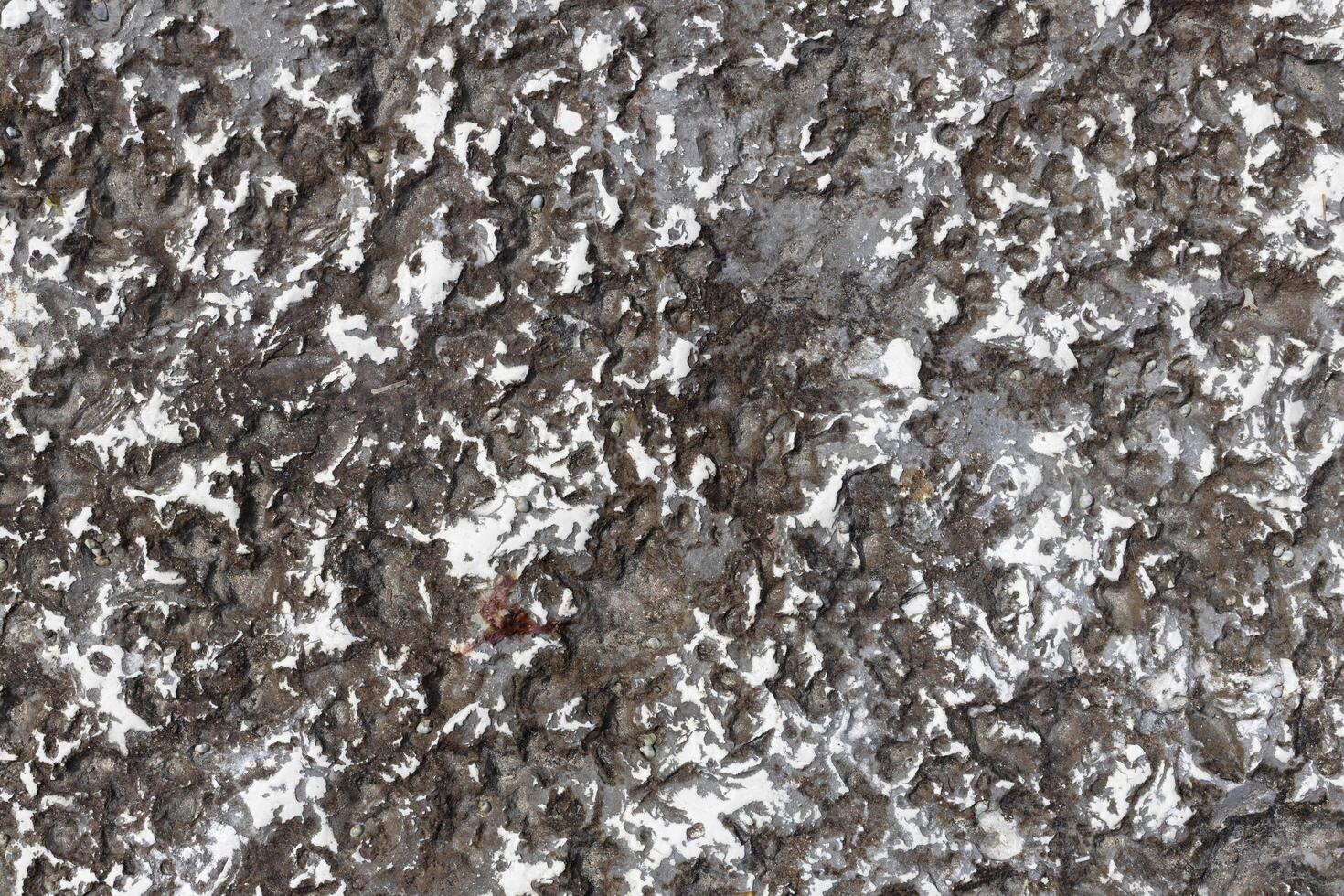Dark Rock Surface with White Mineral Patches photo