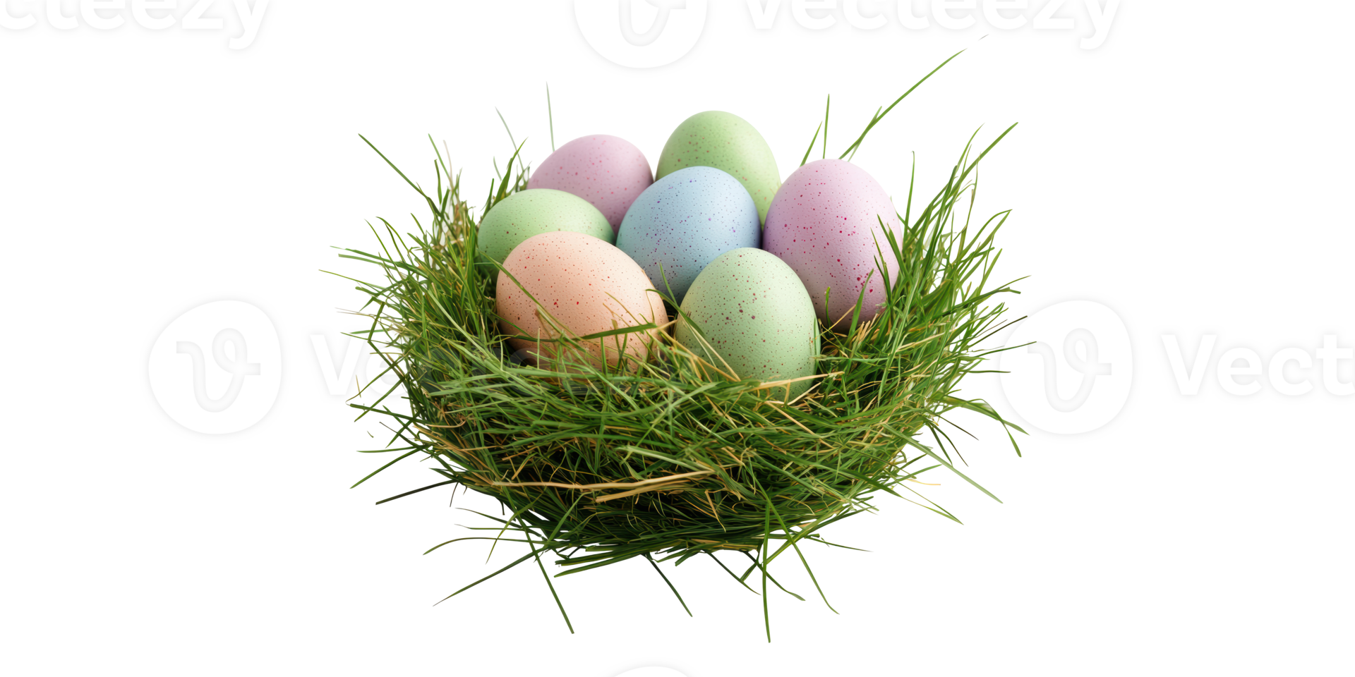 Bird Nest With Colorful Eggs Isolated on Transparent Background png