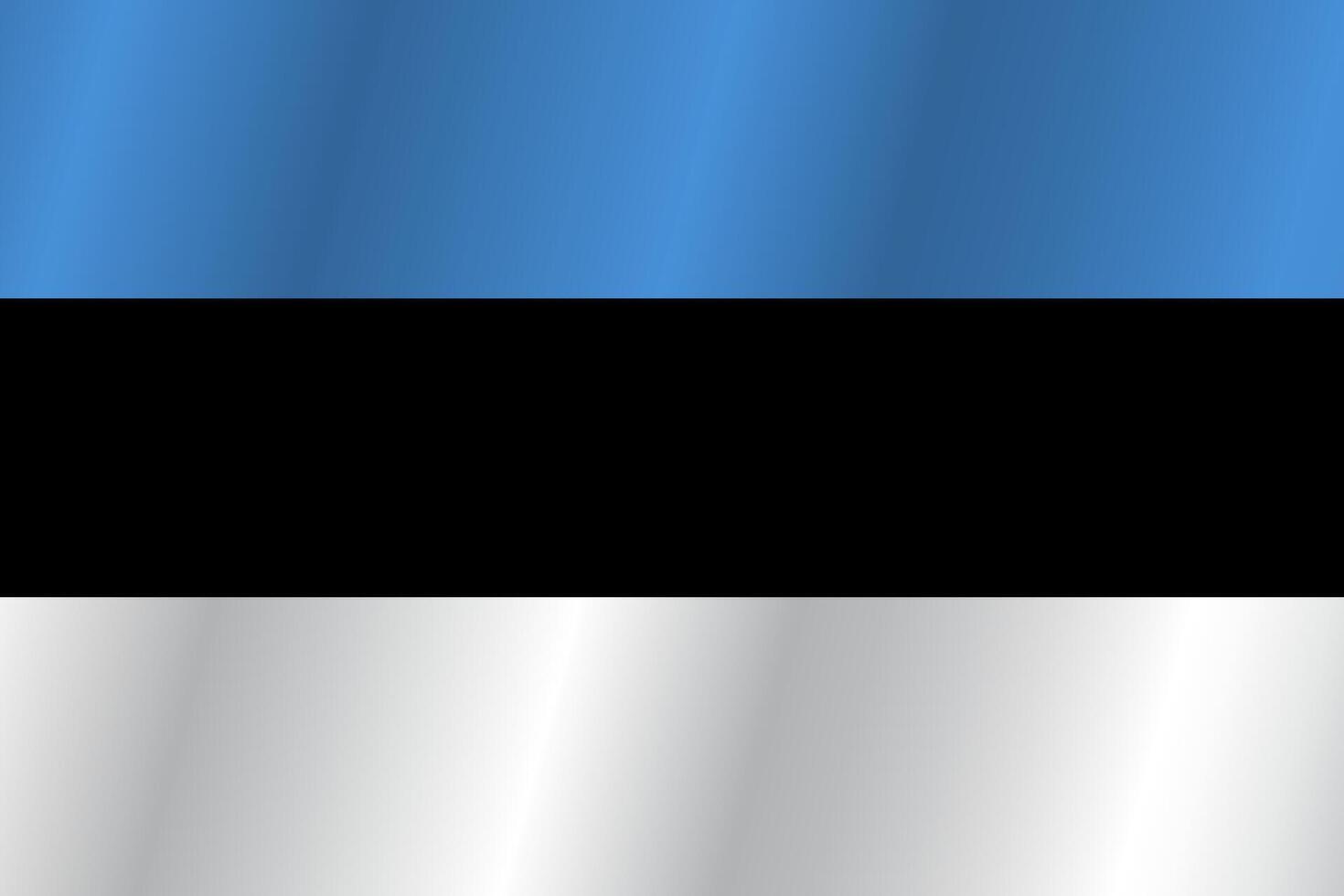 The Flag of the country Estonia on a white background vector