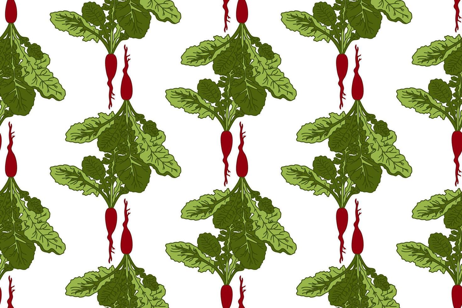 Botanical abstract seamless pattern with beets illustration.Colorful repeating cartoon green vegetables pattern in white color background. Graphic design for Fashion Cover Textile Birthday Card vector