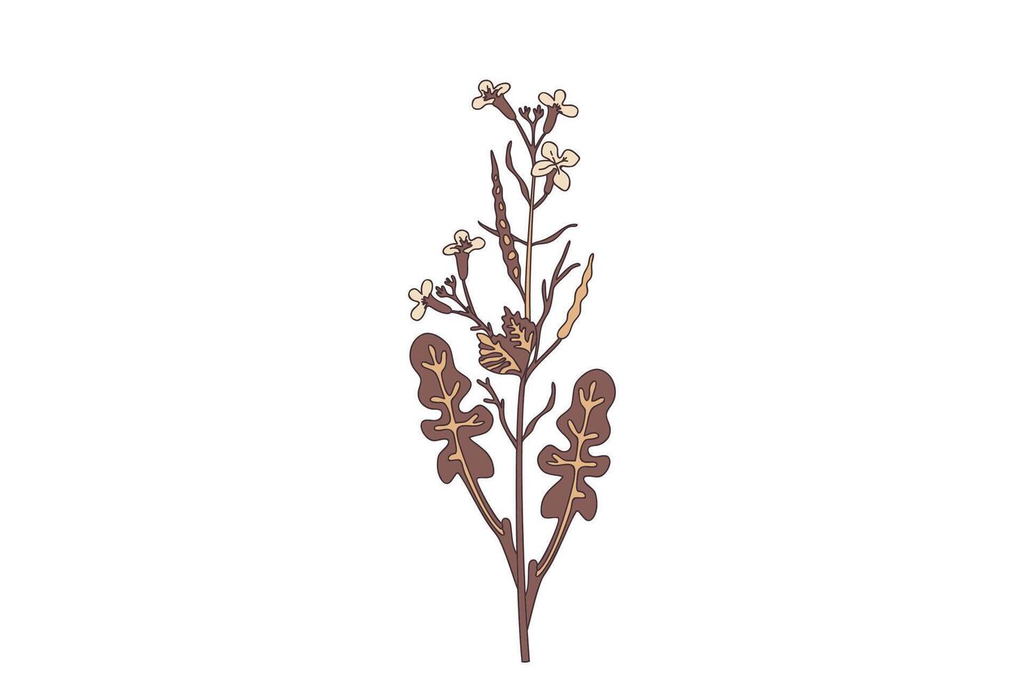 Botanical wildflower in pastel brown colors isolated on white background. Hand drawn plant with stems, leaves, flowers illustration. Graphic design element for Birthday Invitation Greeting Card vector