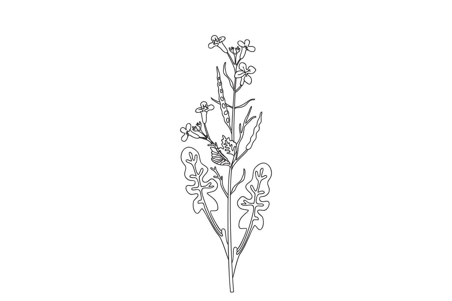 Line art wildflower isolated on white background. Hand drawn botanical outline plant with stems, leaves, flowers illustration. Graphic design doodle element for Birthday Invitation Card Print vector