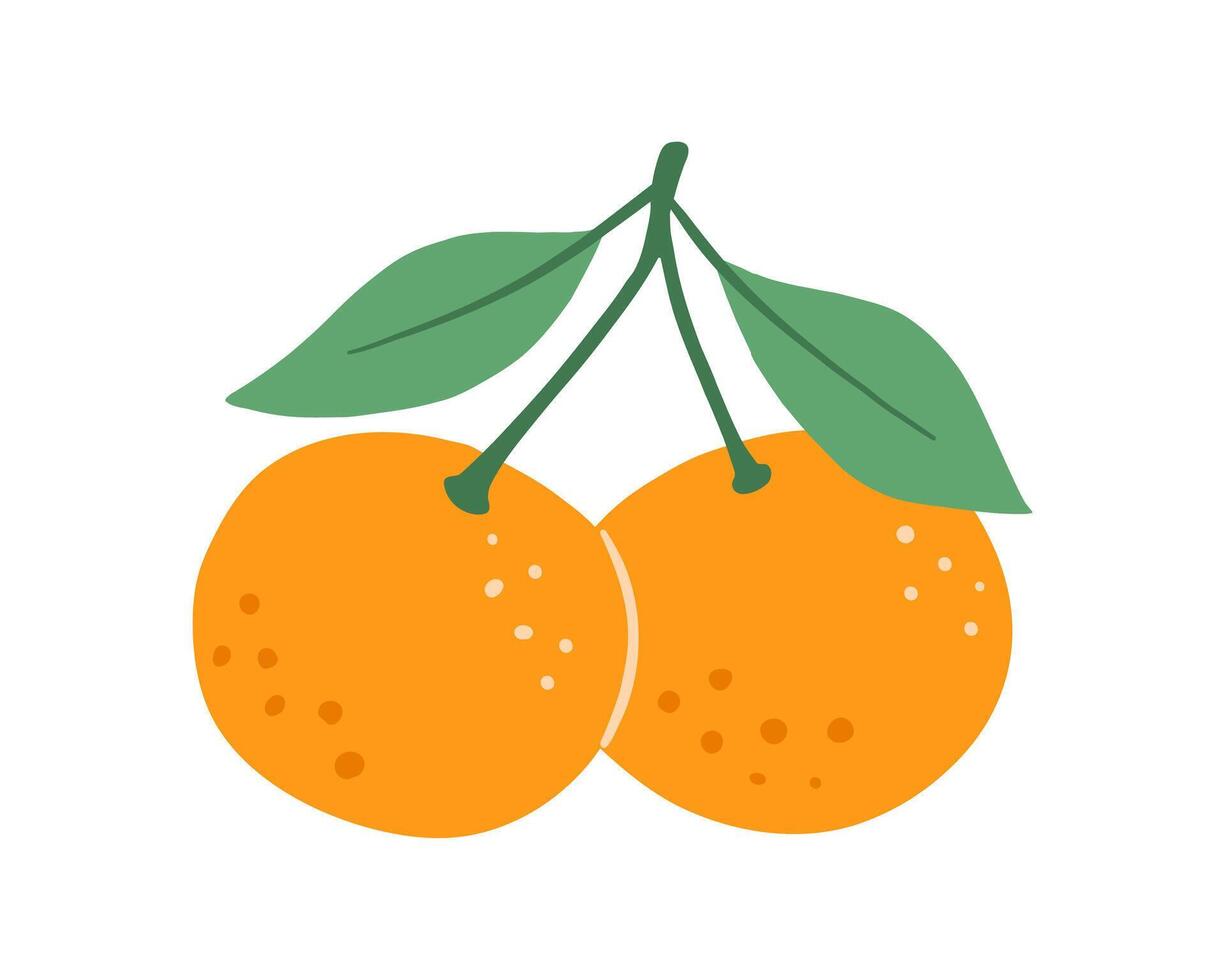 Tangerine with leaves, isolated food illustration, abstract fruit art isolated on white vector