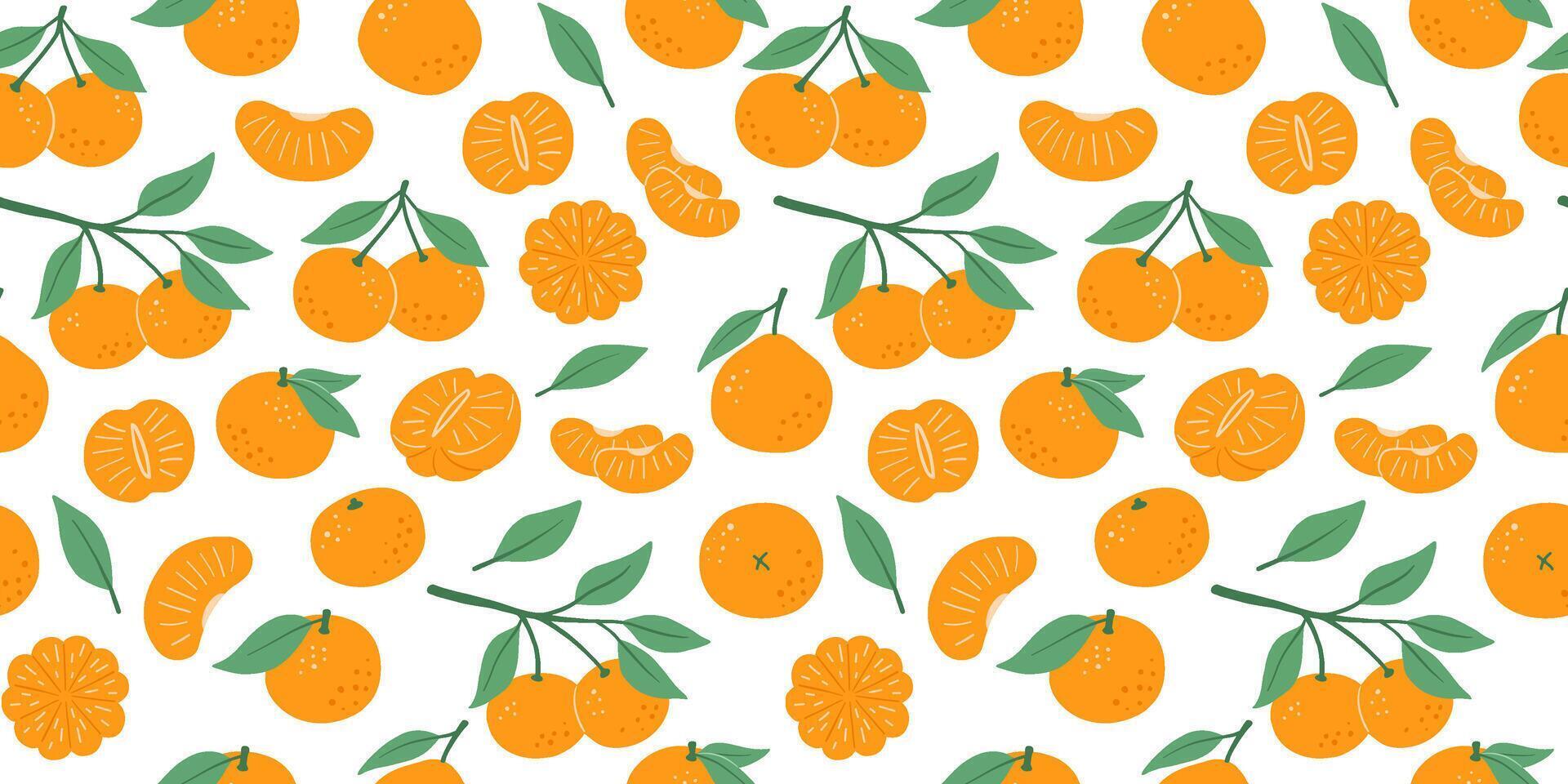 Seamless pattern with hand drawn mandarin with leaves, tangerine fruits. isolated illustrations of flat citrus. vector