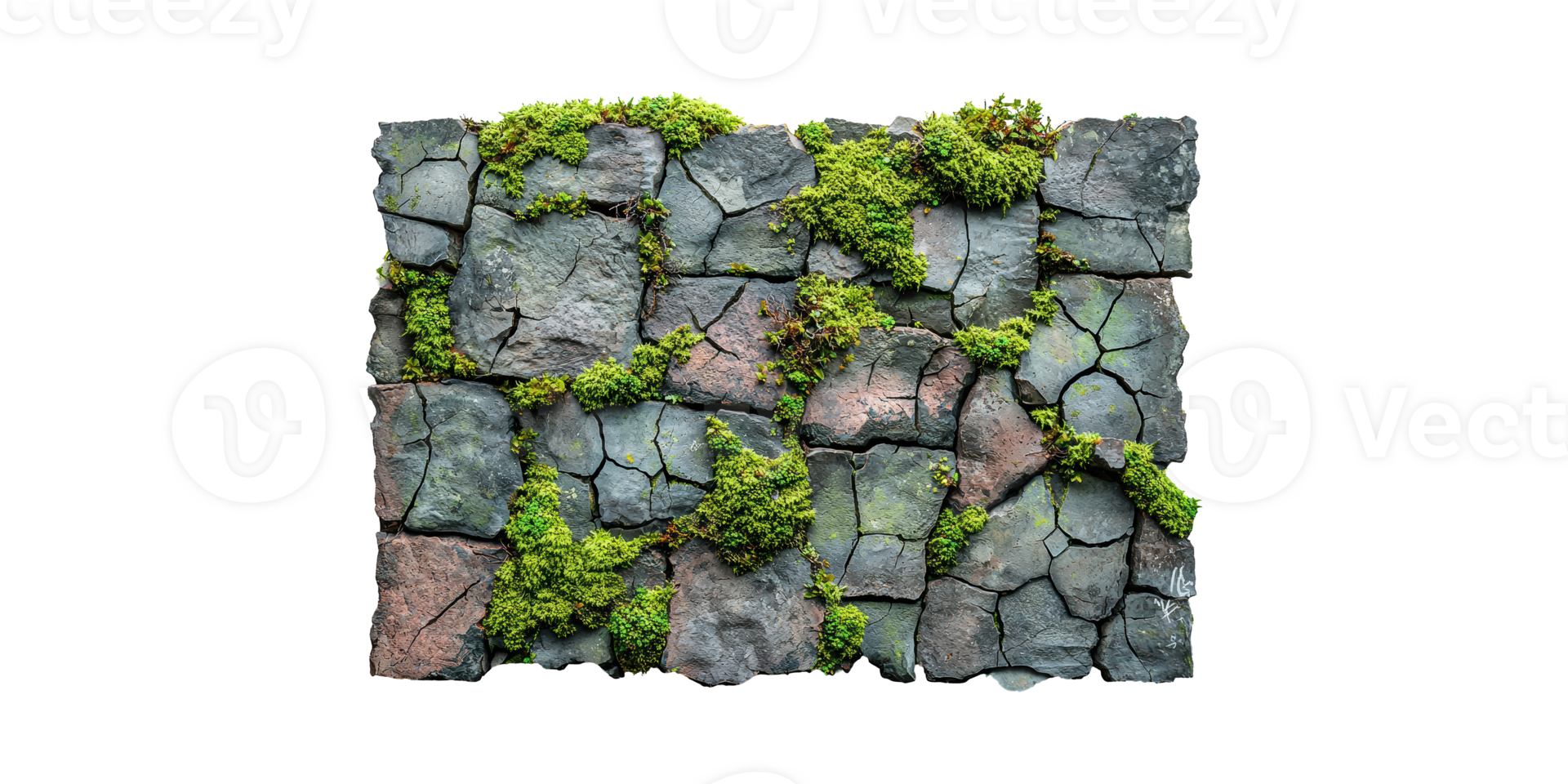 Moss-Covered Stone Wall Texture. Natural Growth And Weathered Surface Isolated On Transparent Background png
