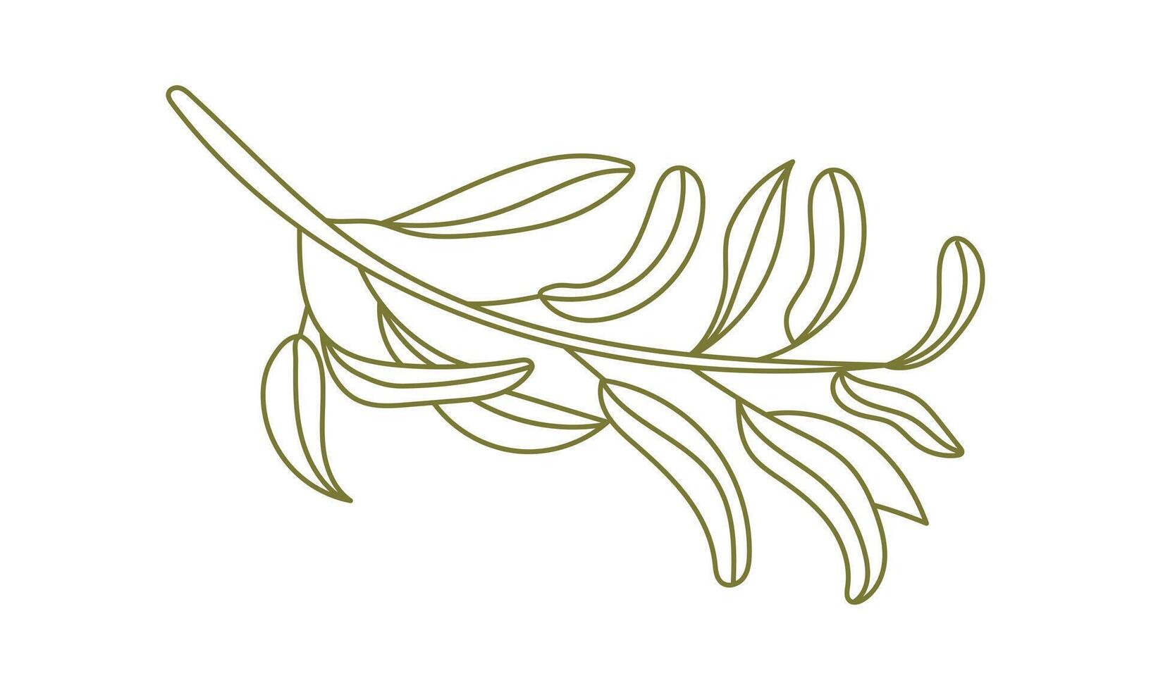 Olives Line Drawing. Green e Olive Frame. Olive Wreath Isolated. Floral Line Art. Fine Line Olive illustration. Black and white Olive Branches.. Wedding invitation greenery vector