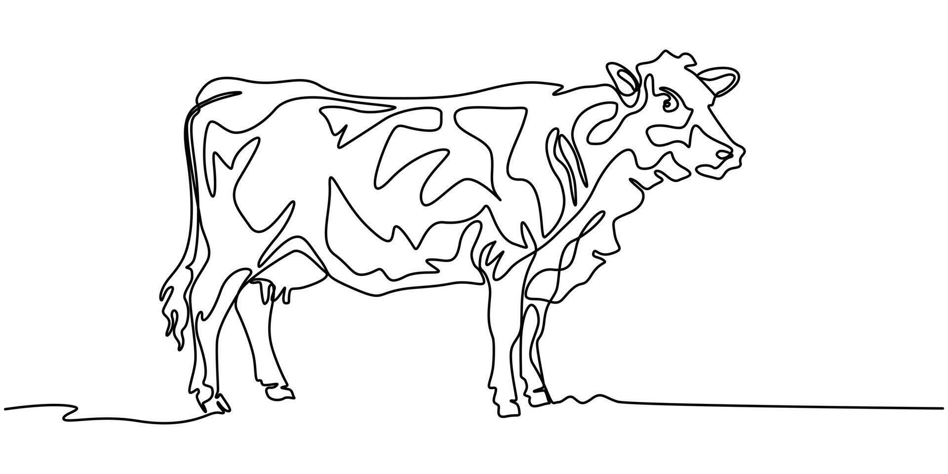 Continuous one line drawing dairy cow Cattle Dairy industry vector
