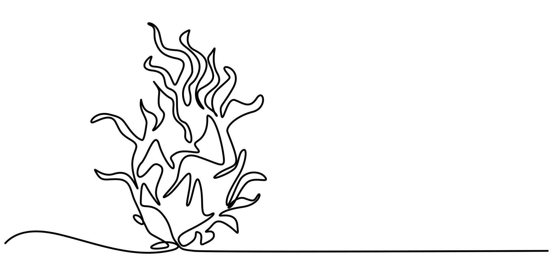 Continuous one line drawing dragon fruit vector