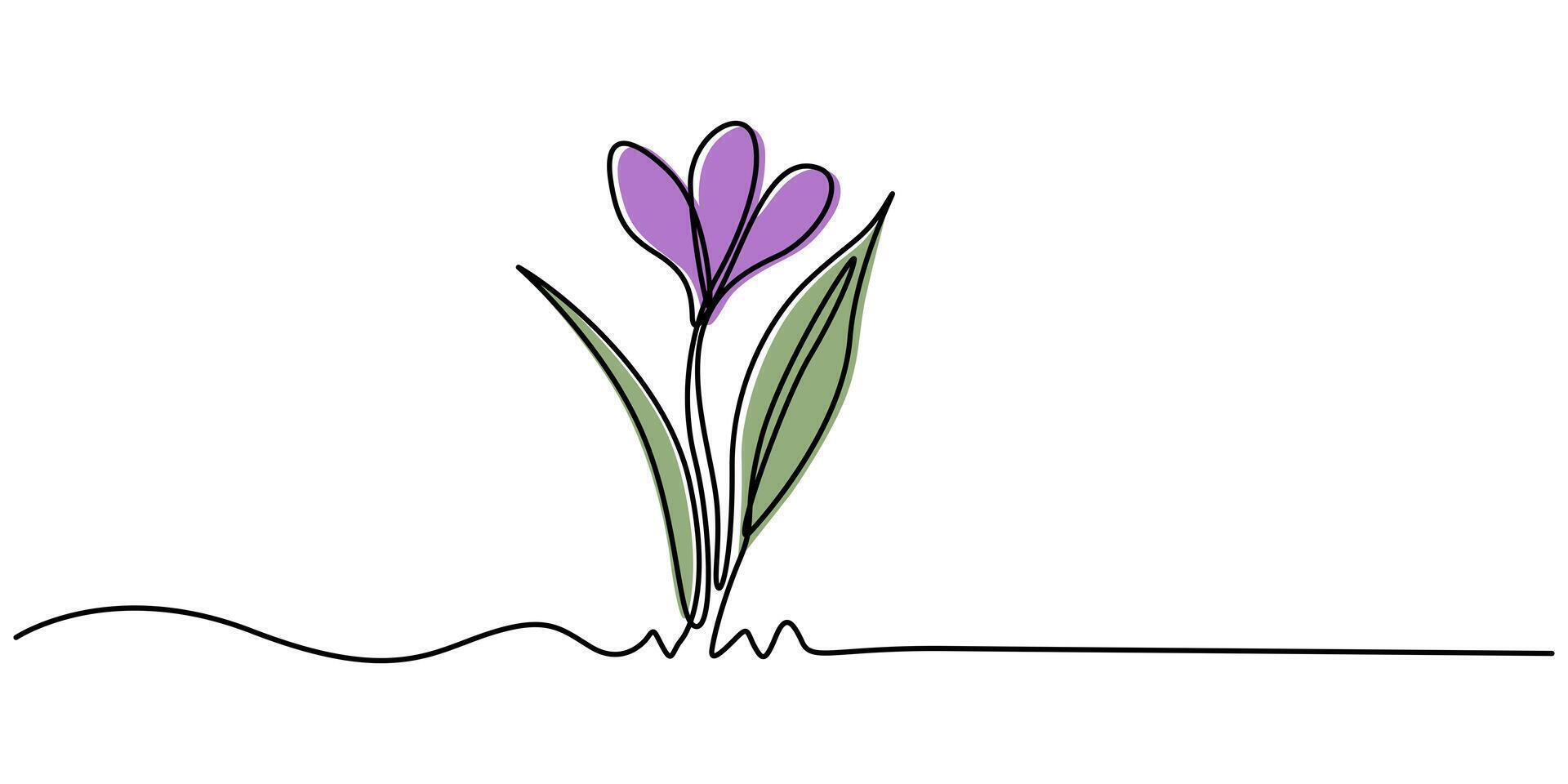 Crocus Flower Single Continuous One Line Drawing with Swirl, Editable Stroke and Color Elements vector