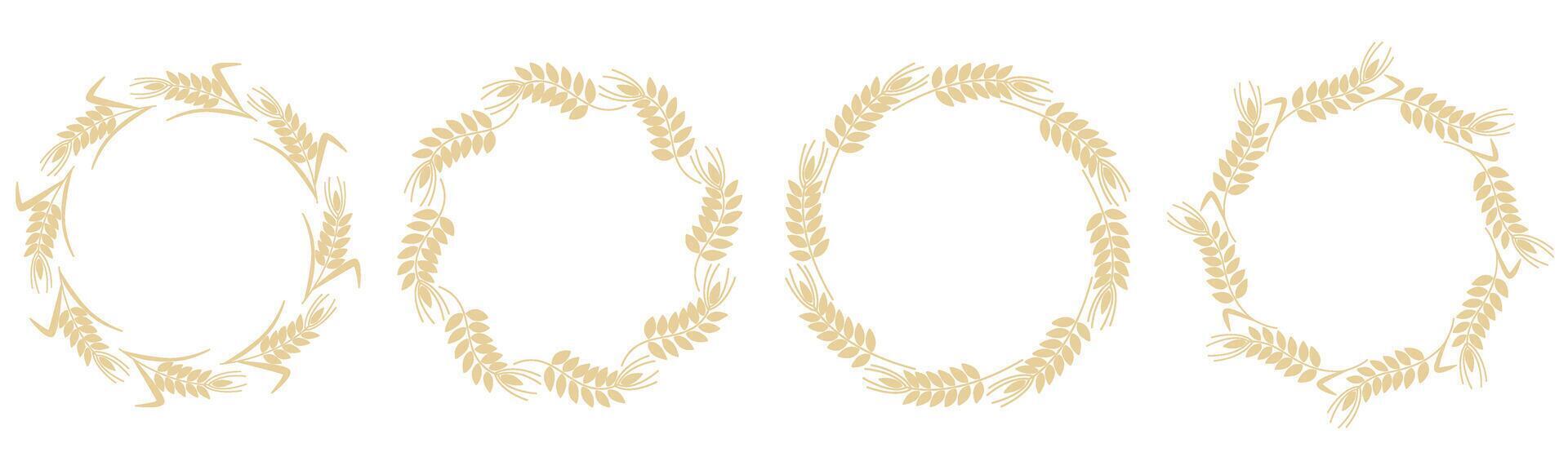 Set of round spikelet wreaths of cereal crops vector