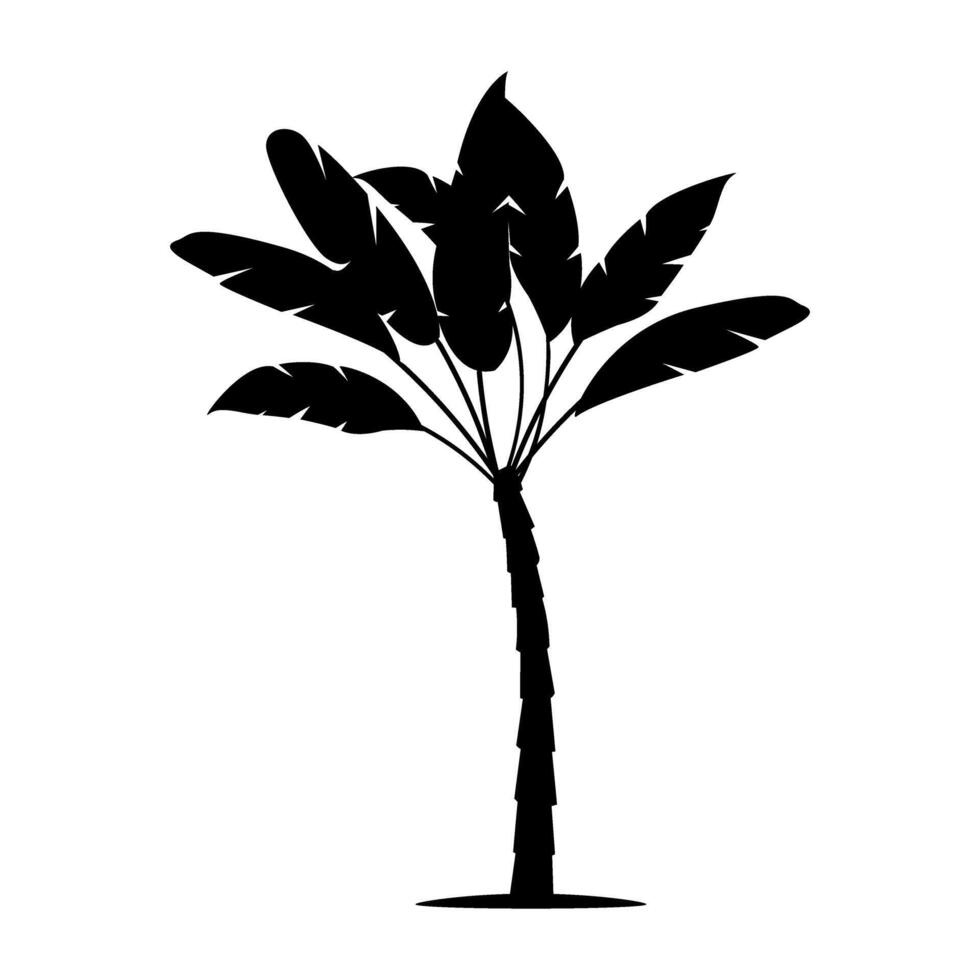 Palm tree silhouette isolated on white background. Black and white illustration. vector