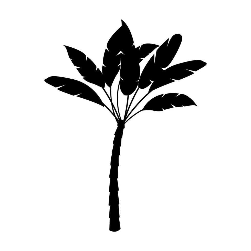 Tropical palm tree icon over white background. illustration silhouette design vector
