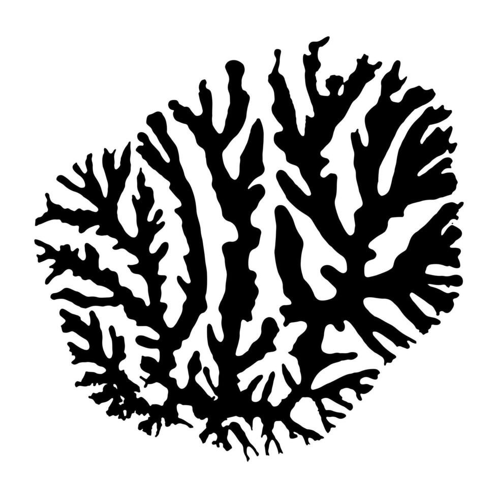 Silhouette like fungus Mold in Petri dish, chemistry, biology, medicine, research. Icon, logo. Isolated on white background. vector