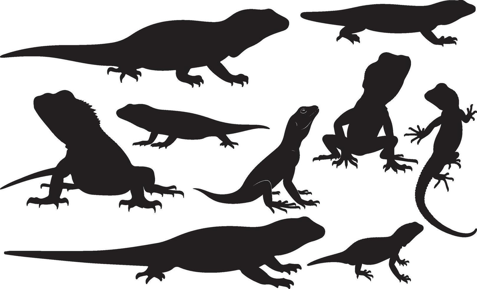 Agama Lizard Silhouette vector