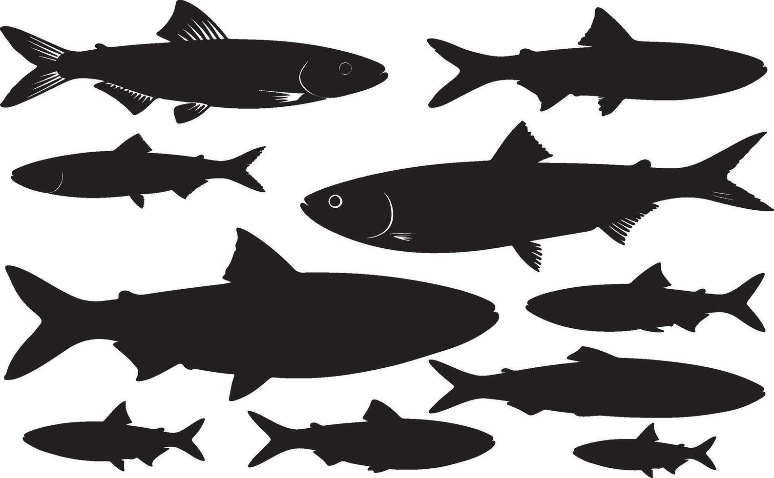 Silhouette of an Anchovy Darting vector