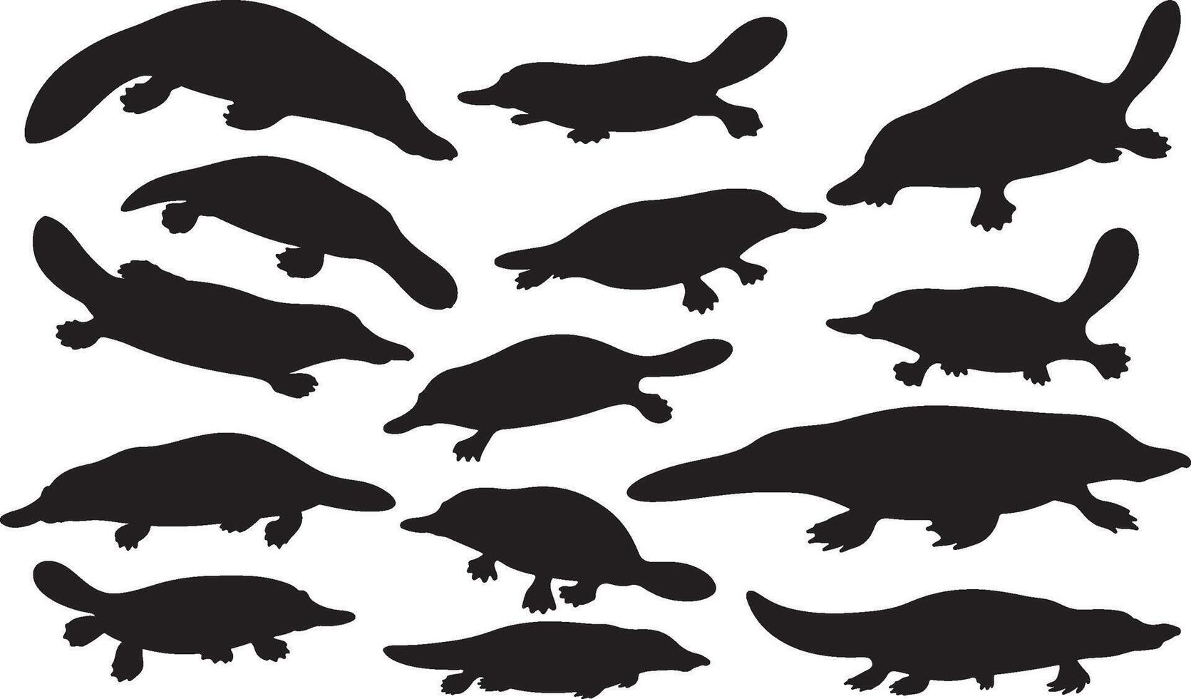 Silhouettes of various animals, including a turtle, on a white background vector