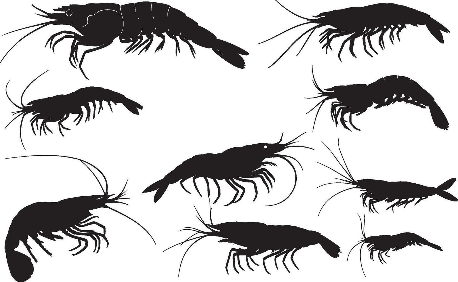 Krill silhouettes on white background vector