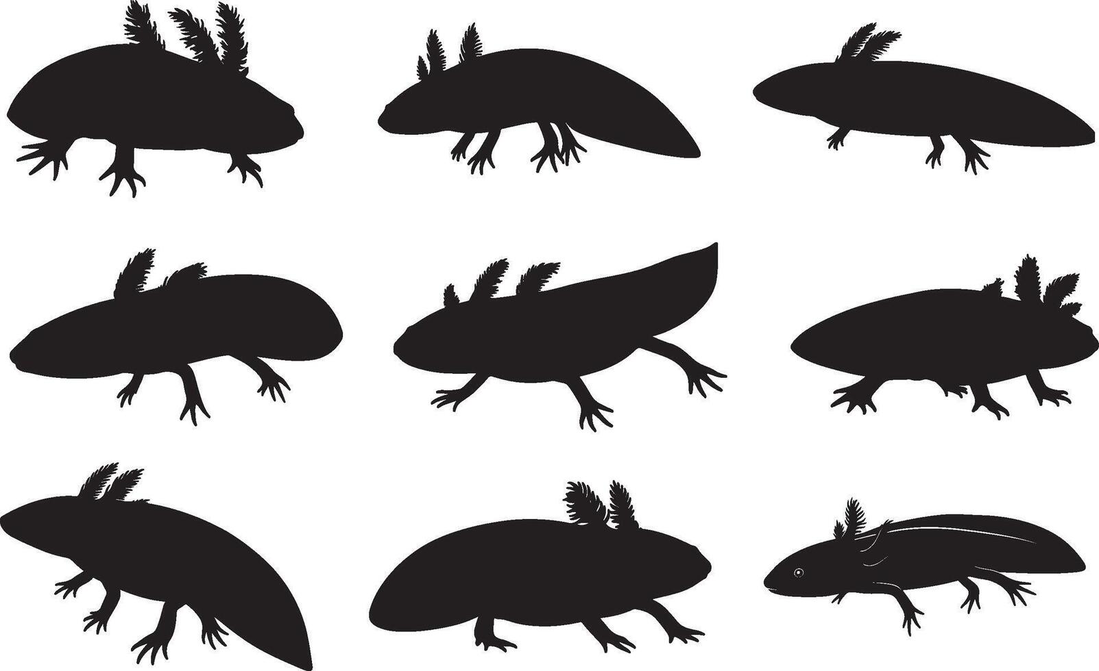 Silhouettes of various types of Alaskan Klee Kai Silhouettes vector