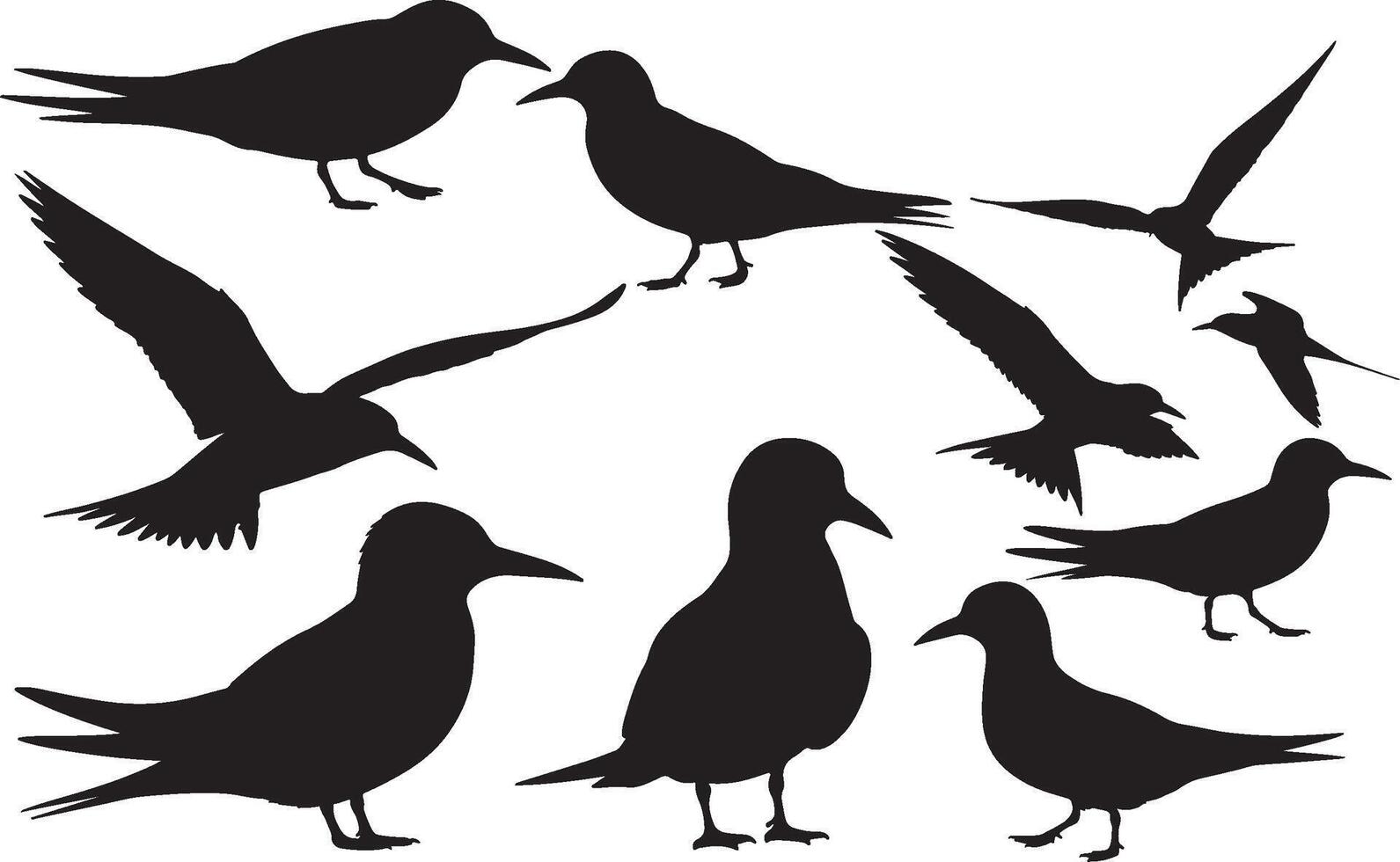 Silhouette of an Arctic Tern vector