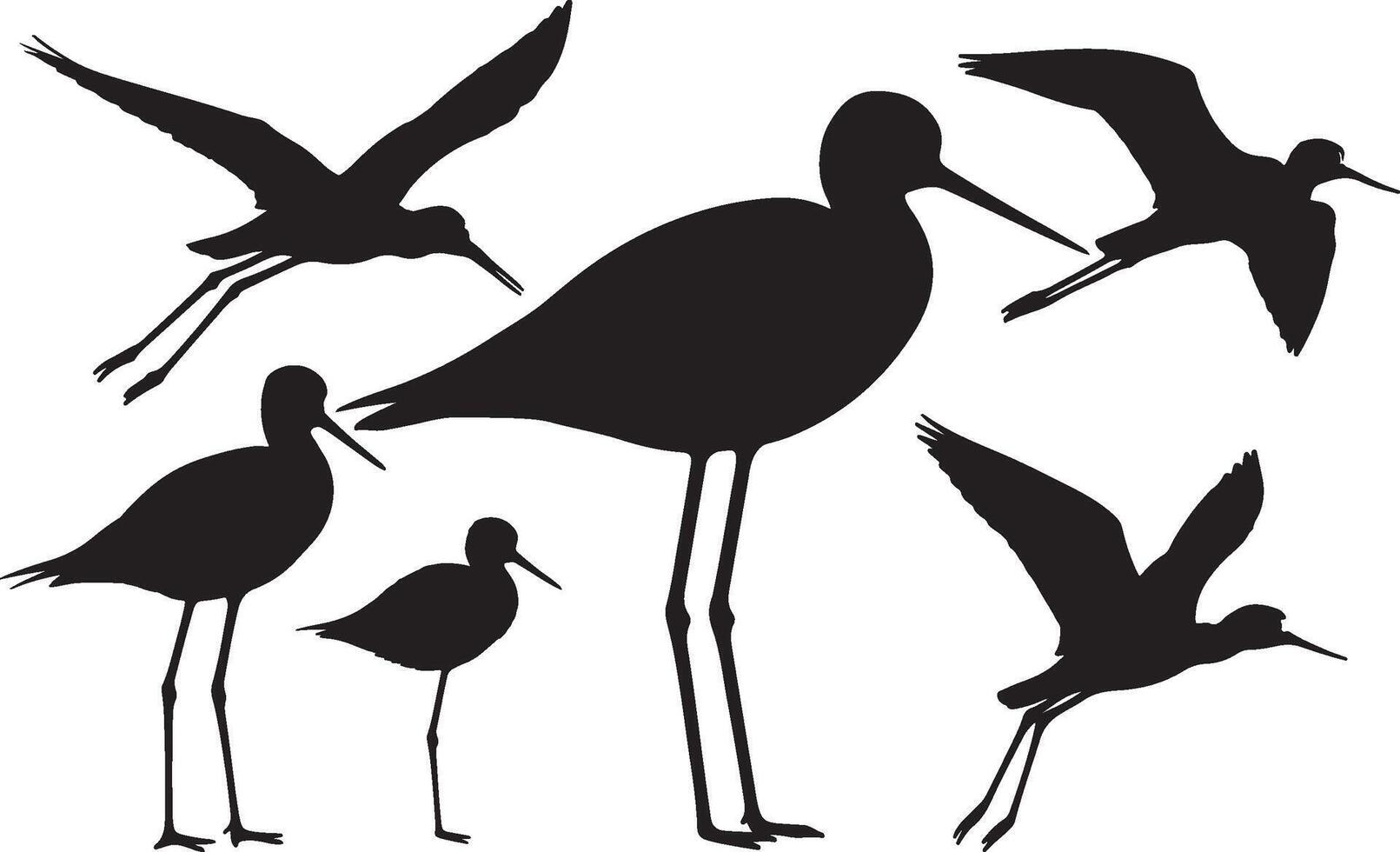 Black silhouettes of Black Widow Spider on a white background vector