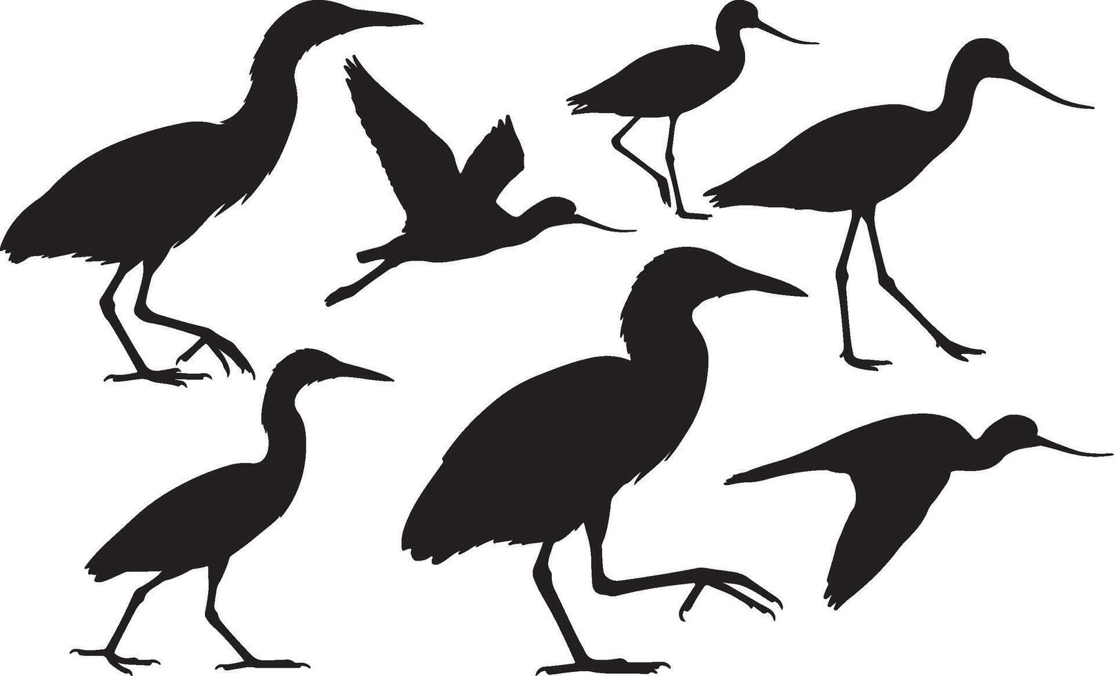 Silhouette of an American Avocet vector