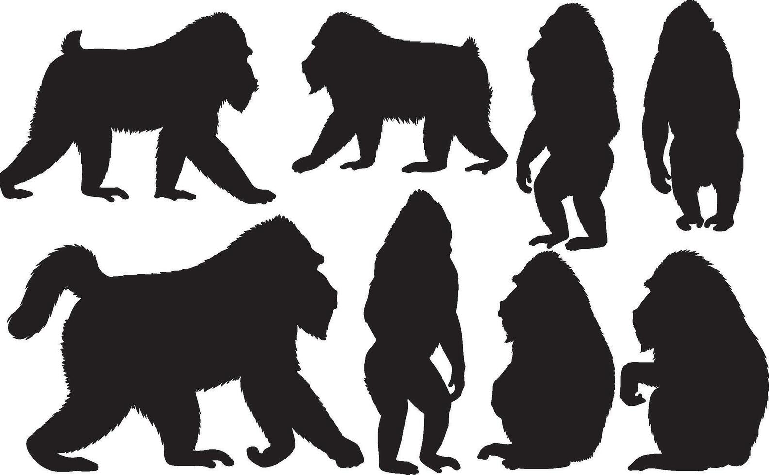 Gorillas silhouettes illustration vector