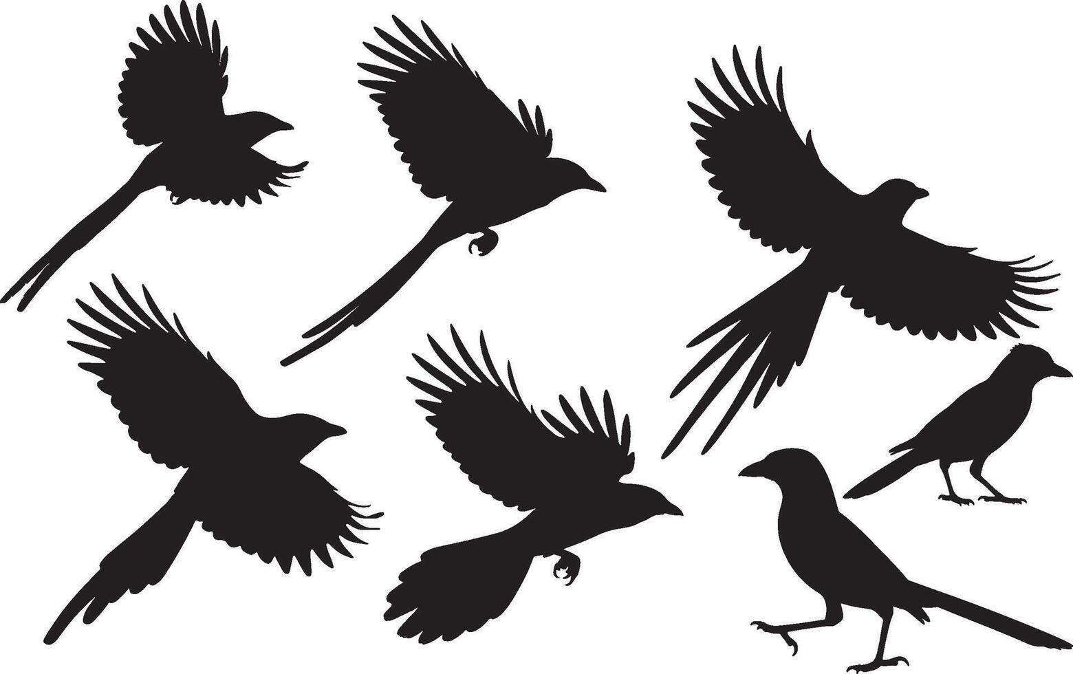 Silhouettes of birds flying in the air vector