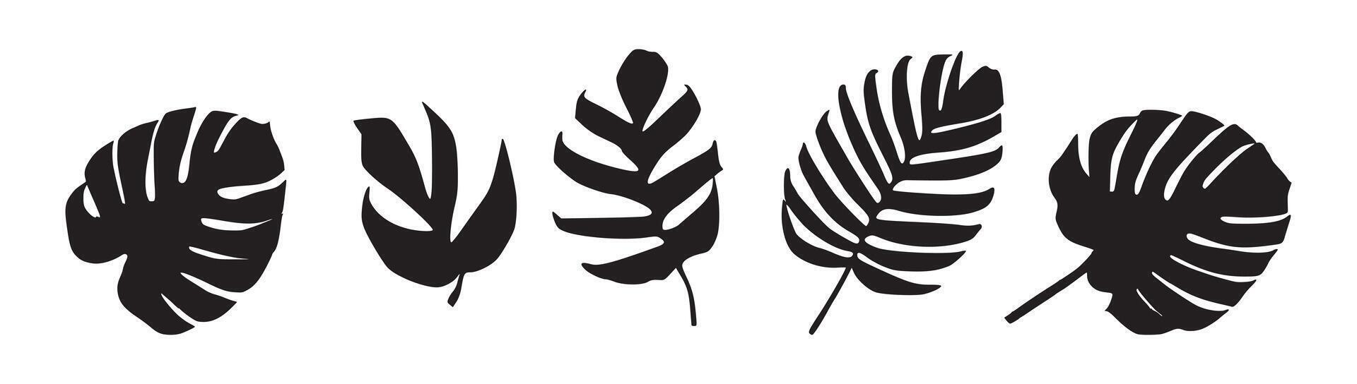 Monstera leaf silhouette tropical design element set vector