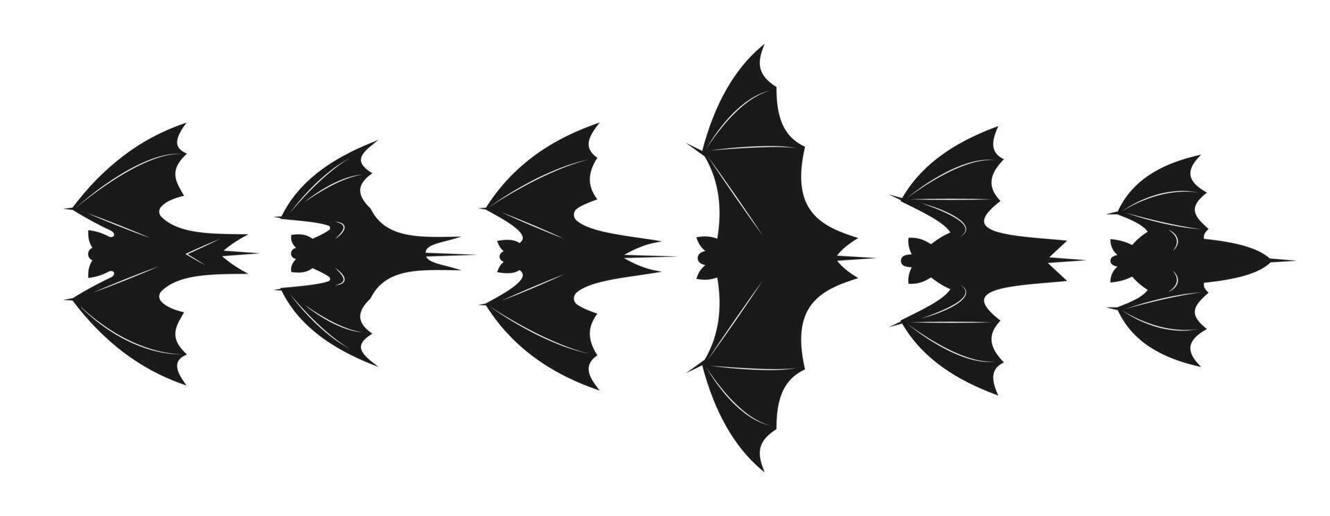 Black silhouette of bat flying on a white background vector