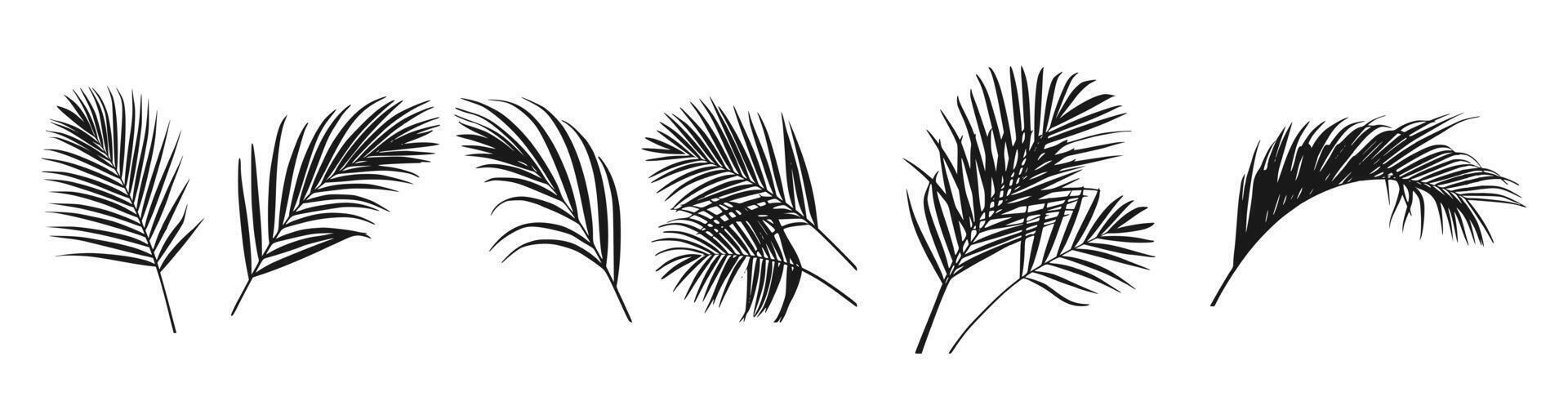 Tropical palm leaf silhouette set design art vector