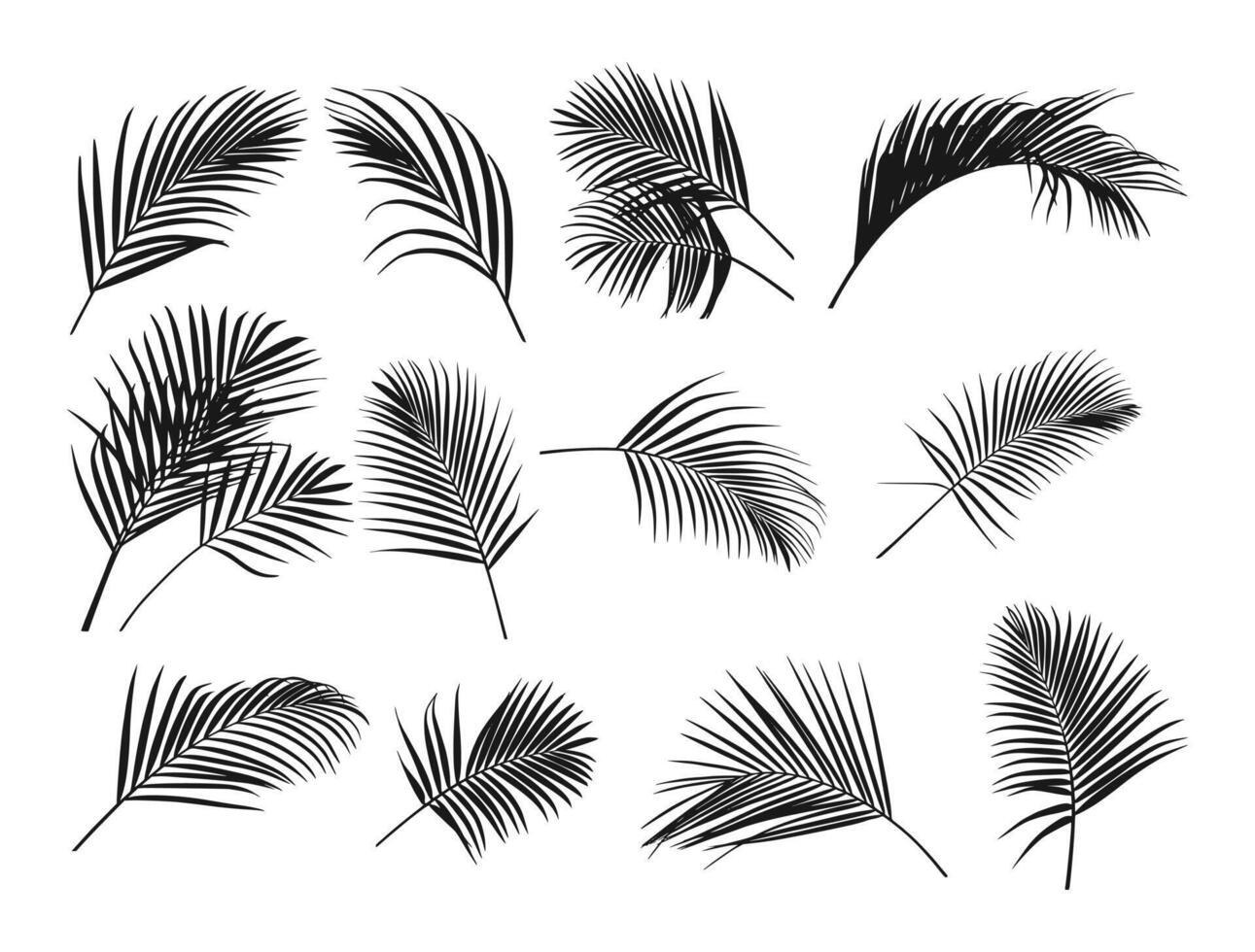 handmade tropical palm leaf wall hanging vector