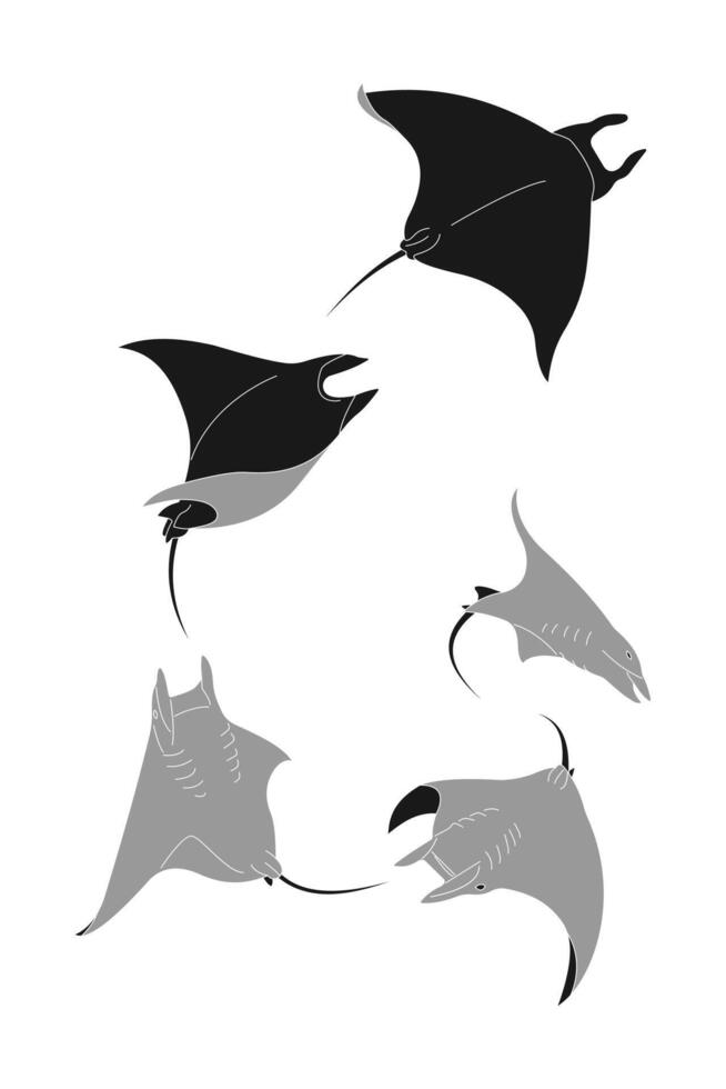 Stylish black and grey stingray fish silhouette illustration vector