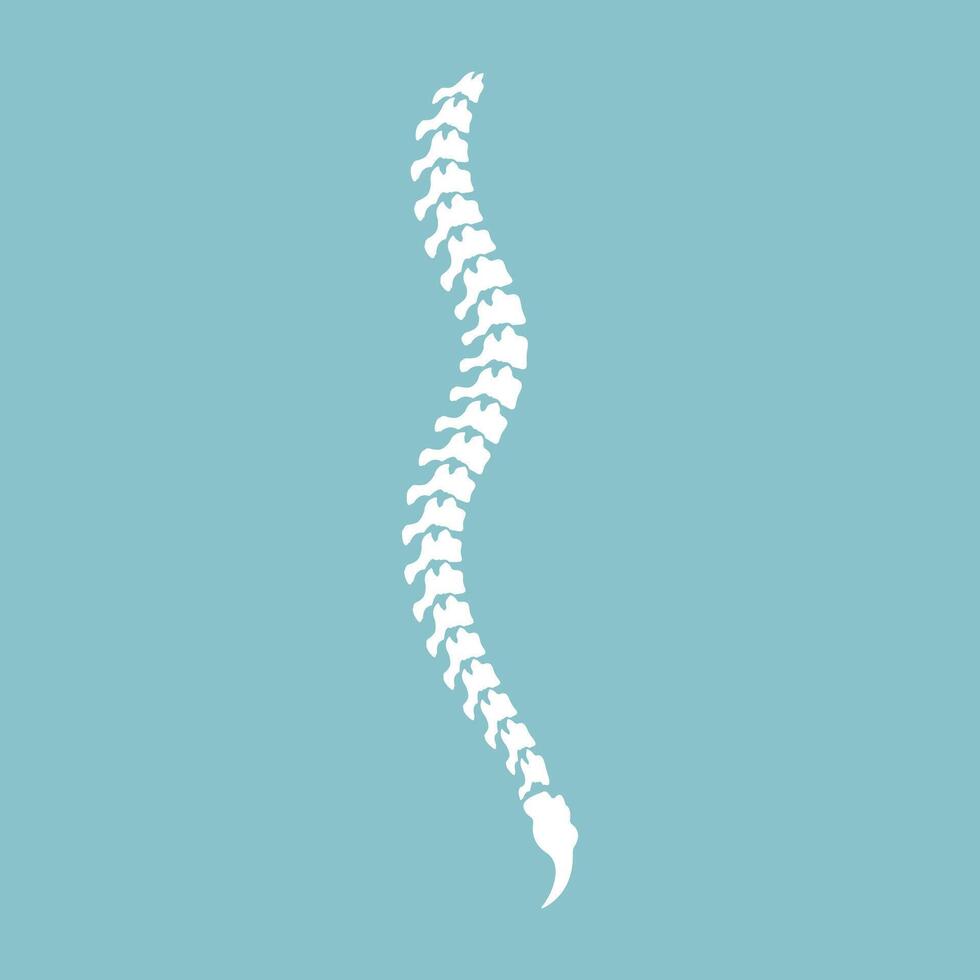 Flat design white spine diagnostic medical icon vector