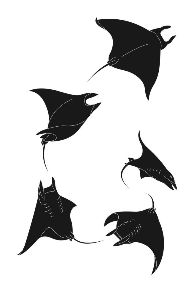 Black silhouette of stingray fish on a white background vector