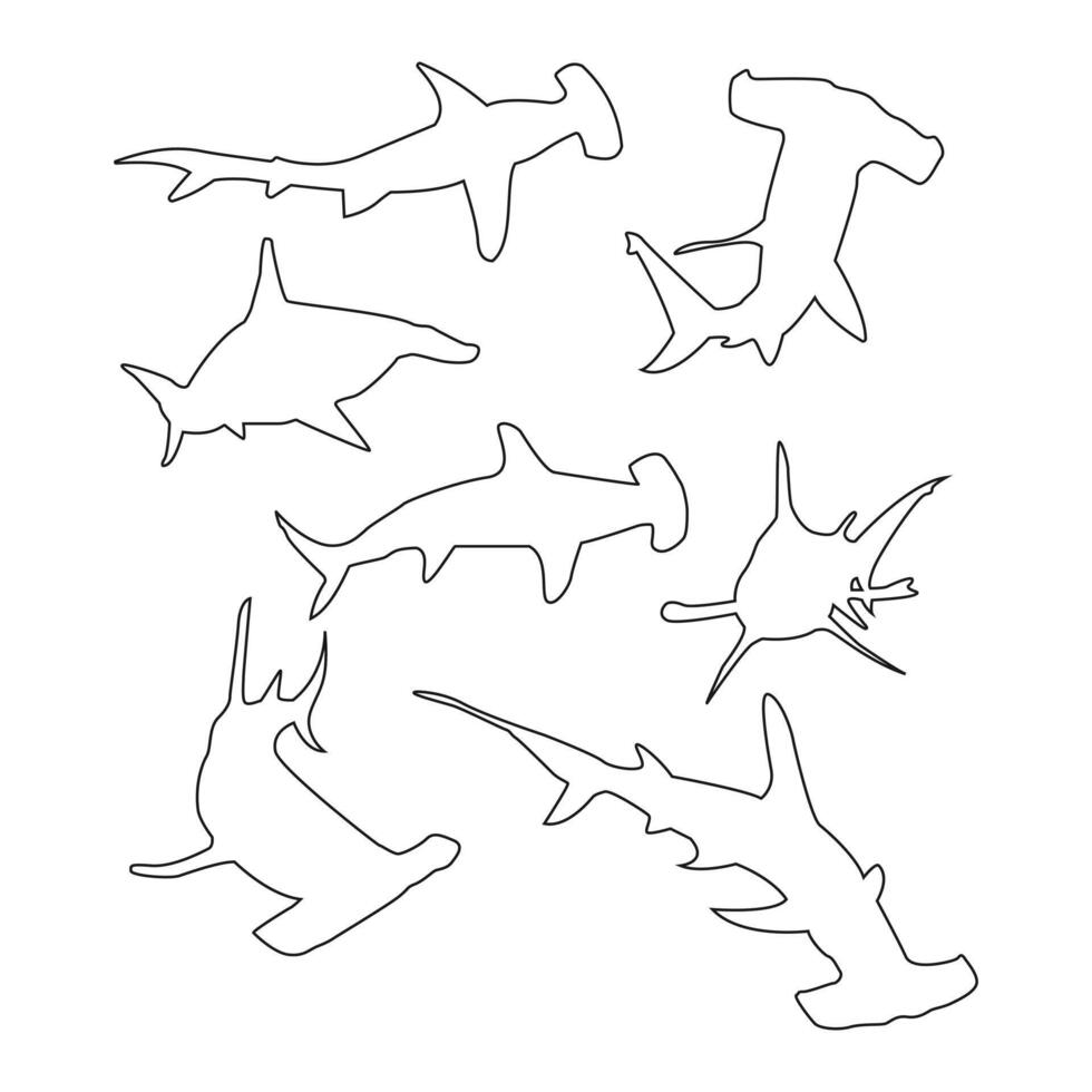 Hammerhead shark line illustration ocean animal design vector