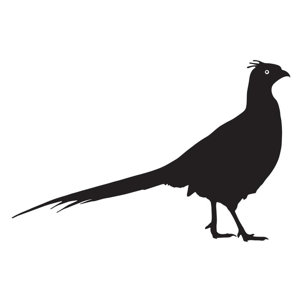 Standing Pheasant Silhouette Design for Wildlife and Nature Art.eps vector