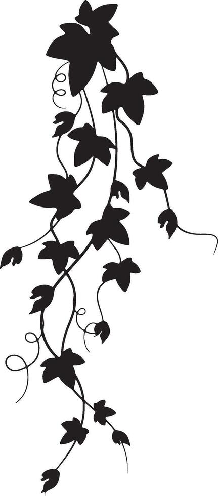 Creeper Vine Silhouette. vector