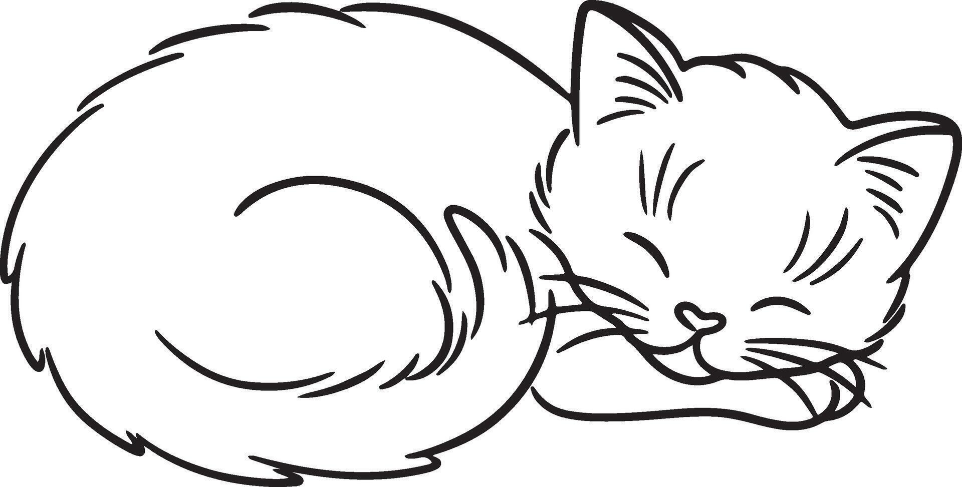 Cute Sleeping Kitten Line Art. vector