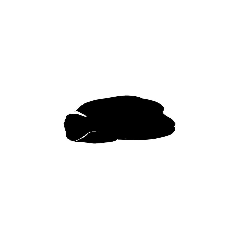 Silhouette umphead wrasse, Cheilinus undulatus, Maori wrasse, Napoleon wrasse, Napoleon fish. Flat Style, can use for Logo Gram, Animal Illustration, Pictogram, ect. Black White vector