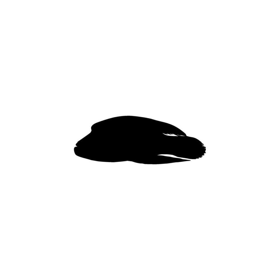 Silhouette umphead wrasse, Cheilinus undulatus, Maori wrasse, Napoleon wrasse, Napoleon fish. Flat Style, can use for Logo Gram, Animal Illustration, Pictogram, ect. Flat and Black White vector