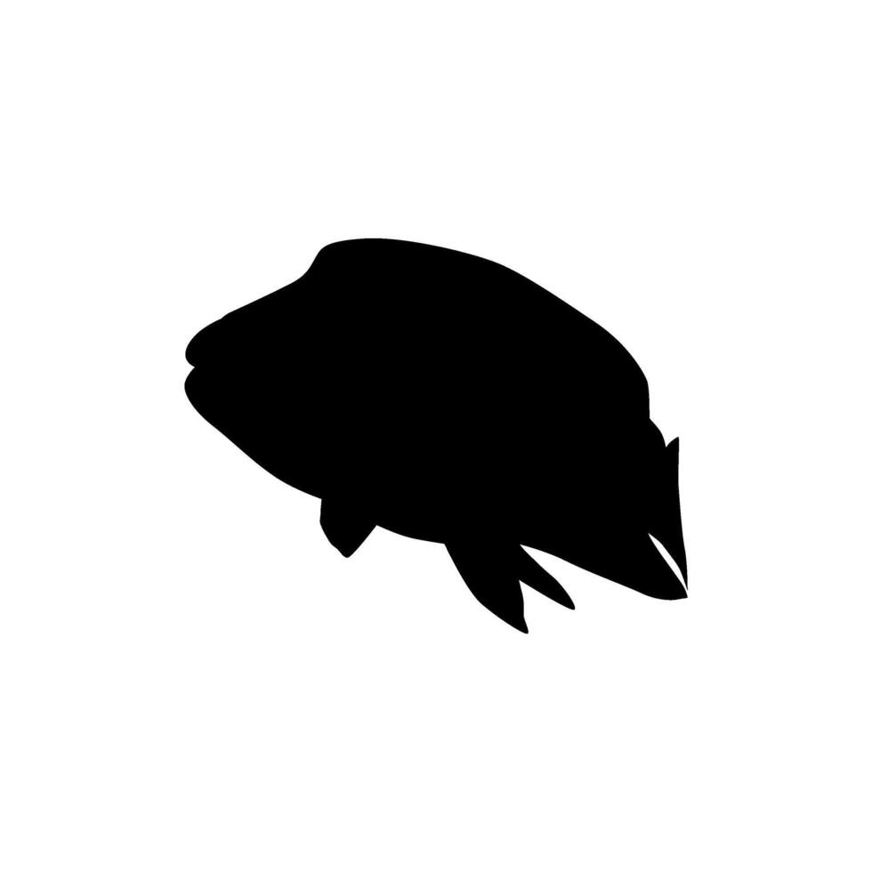 Silhouette umphead wrasse, Cheilinus undulatus, Maori wrasse, Napoleon wrasse, Napoleon fish. Editable vector