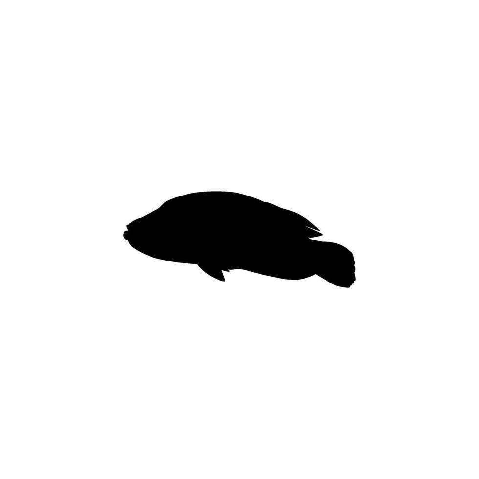 Silhouette umphead wrasse, Cheilinus undulatus, Maori wrasse, Napoleon wrasse, Napoleon fish. Flat Style, can use for Logo Gram, Animal Illustration, Pictogram, ect. Black White and Editable vector