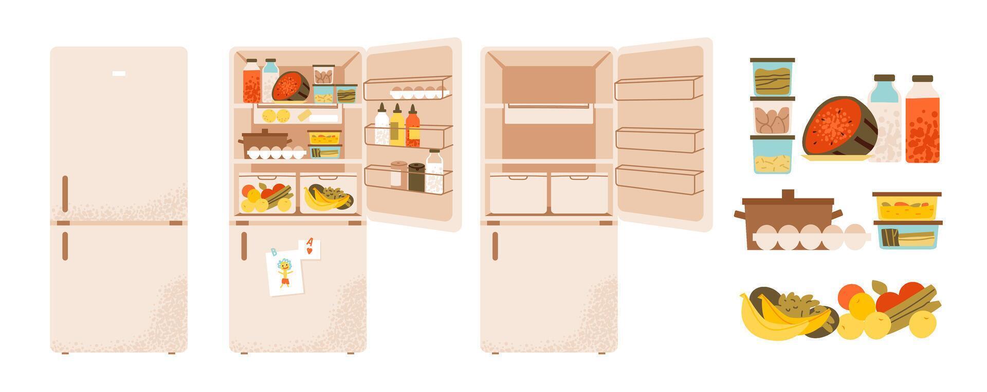 Fridge with shelves and groceries. Refrigerator with food, closed and empty. Household appliance used for food and beverage storage, cooling, and daily meal organization. Flat illustration. vector